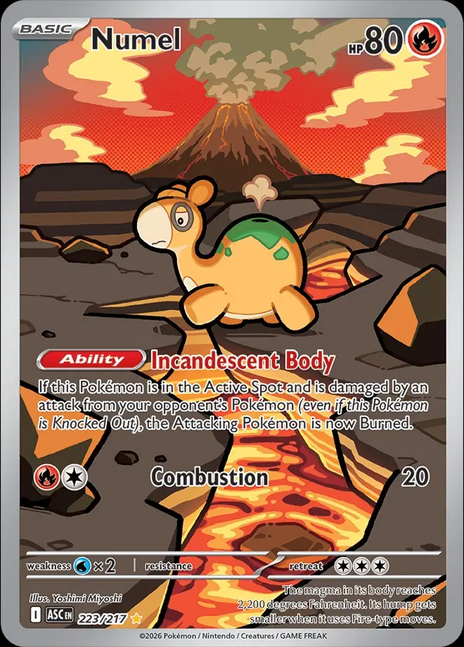 Karta Pokémon: Ascended Heroes - 223 - Numel